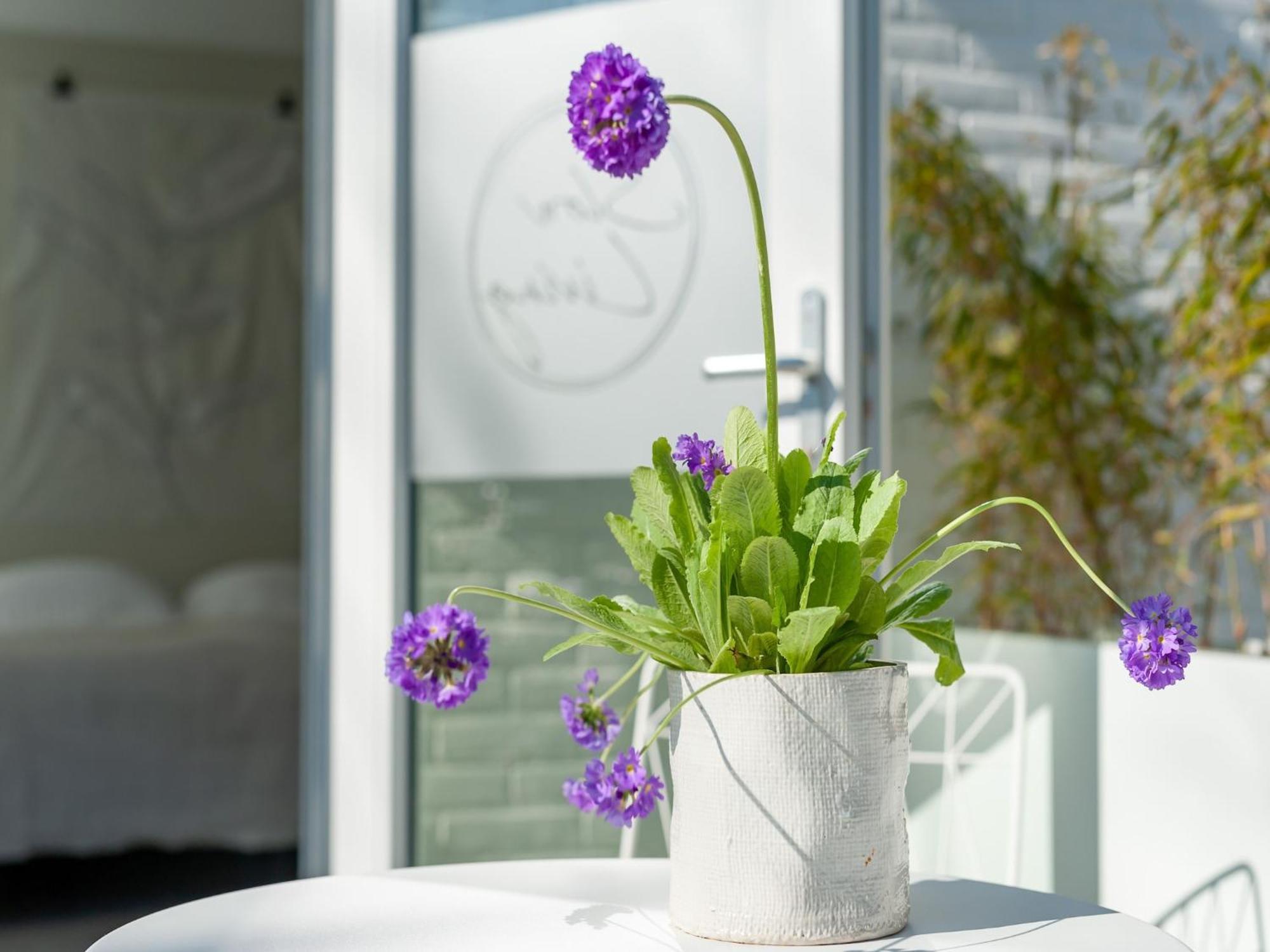 Pleasaing Holiday Home In Oostkapelle Near Centre מראה חיצוני תמונה